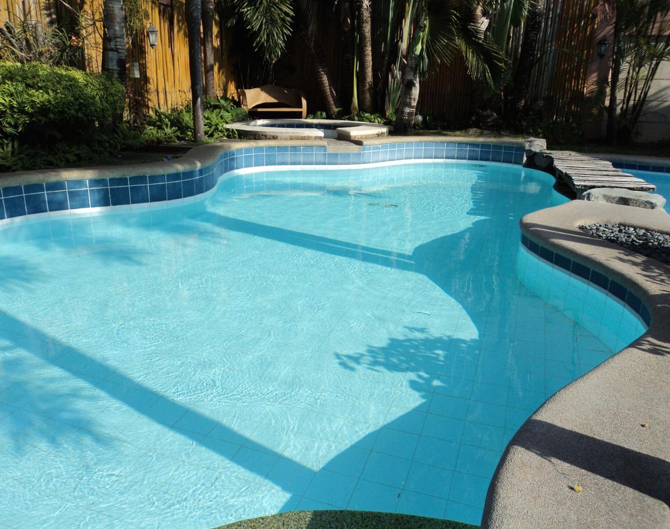 Technician providing cleaning for Pool Cleaner near me in Chagrin Falls, OH at a residential property